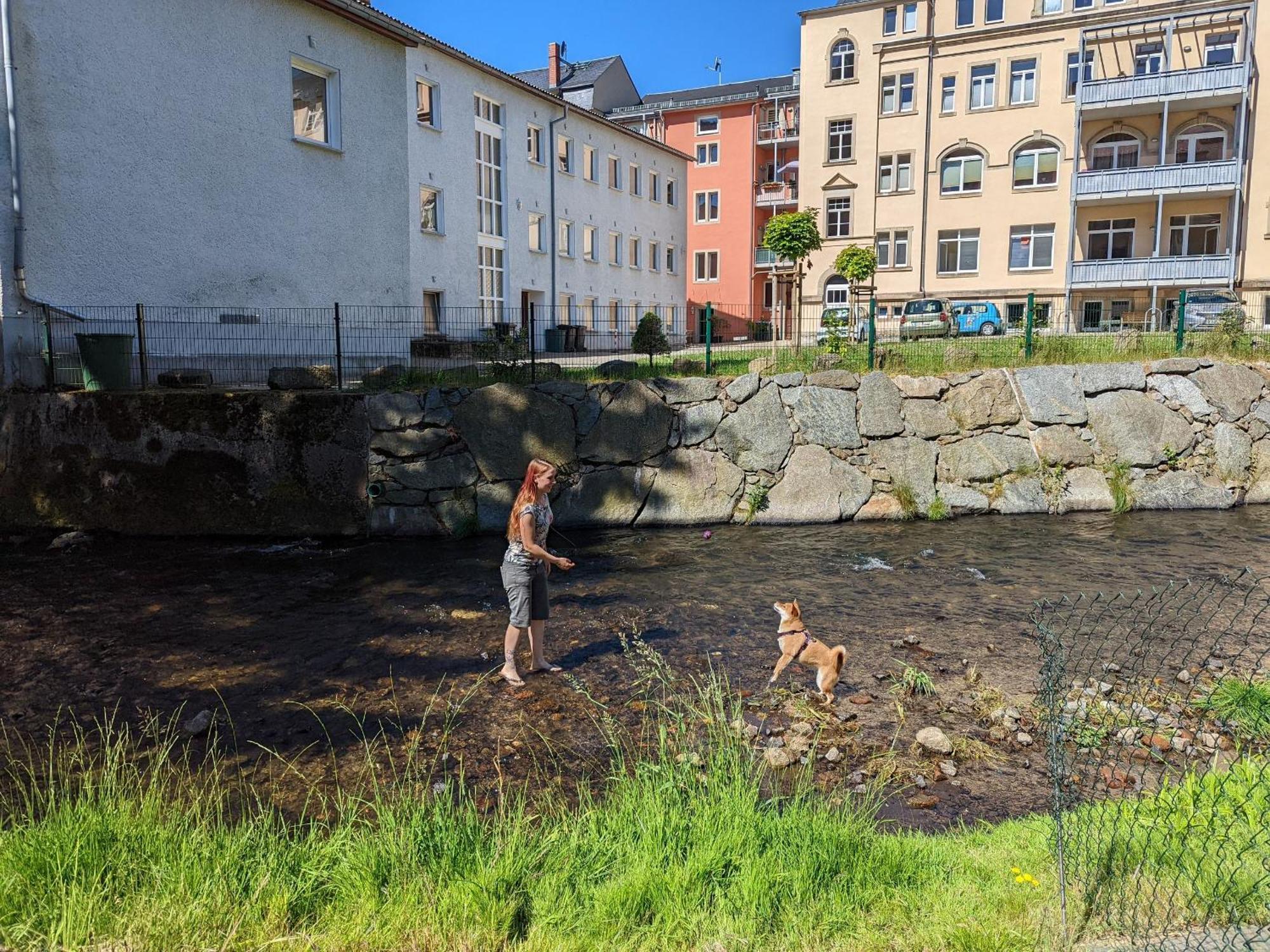 Hw2 - Urlaubsmagie - Sauna & Whirlpool Fuer Alle Sebnitz Exterior foto